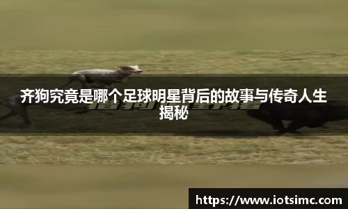 齐狗究竟是哪个足球明星背后的故事与传奇人生揭秘